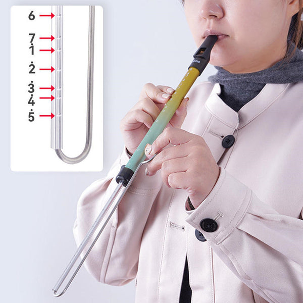 Tuned Slide Whistle With Musical Scale